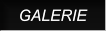 GALERIE GALERIE