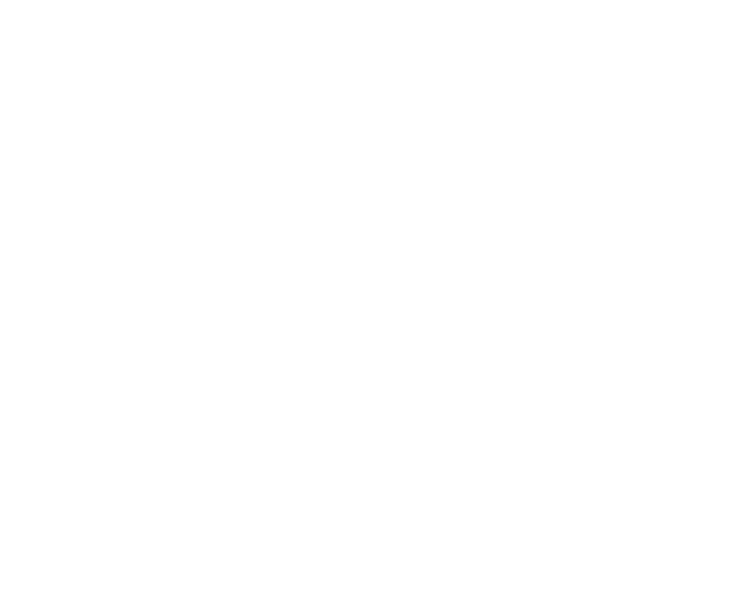 Unsere Ziele Unsere Ziele sind die Traditionspflege des PzB 33 seines Nachfolgeverbandes JgB 33 der alten Reiterregimenter (Dragonerregiment No.3, Kürassierregiment No.3 und 1.Karabinier-regiment), die Kameradschaftspflege, die Förderung der soldatischen Tugenden sowie Stärkung des Gedankens der europäischen und österreichischen Sicherheitspolitik.  Es ist uns besonders wichtig, alle aktiven und ehemaligen Angehörigen sowie jene neu zum Bataillon hinzugekommenen Soldaten bei uns zu begrüßen, um so das starke Band der Kameradschaft noch enger mit der Tradition zu verbinden. Wir pflegen auch Kontakte zu anderen Vereinigungen, wie z.B. der Offiziers- und UO-Gesellschaft und befreundeten Traditionsvereinen im In- und Ausland. Eine besondere Verbindung besteht zu unseren Kameraden des Traditionsdragonerregimentes Nr. 3, „König Friedrich August von Sachsen“, dessen Mitglieder in historischen Dragoneruniformen auftreten.