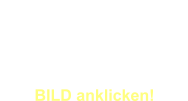 Video  vom Gedenkabend: Herzog Albert  von Sachsen-Teschen  BILD anklicken!